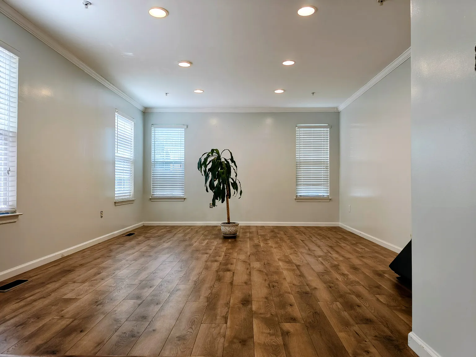 5 bed, 3.5 bath, 3200 sqft, $4,195 — Photo 2