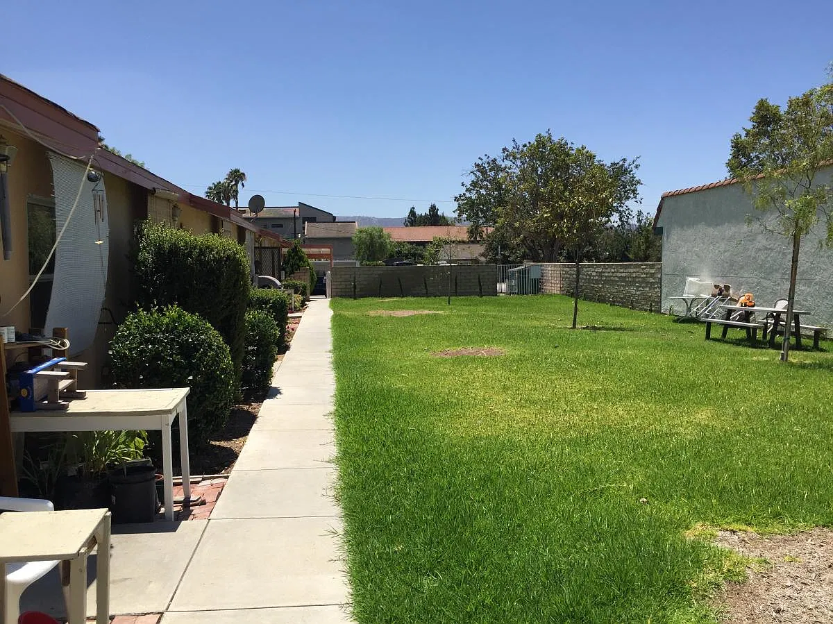Large shared yard, great for BBq's