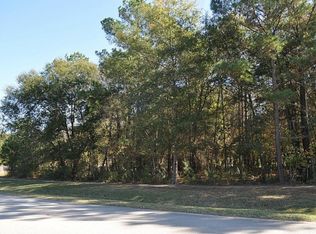 27510 E Benders Landing Blvd, Spring, TX 77386