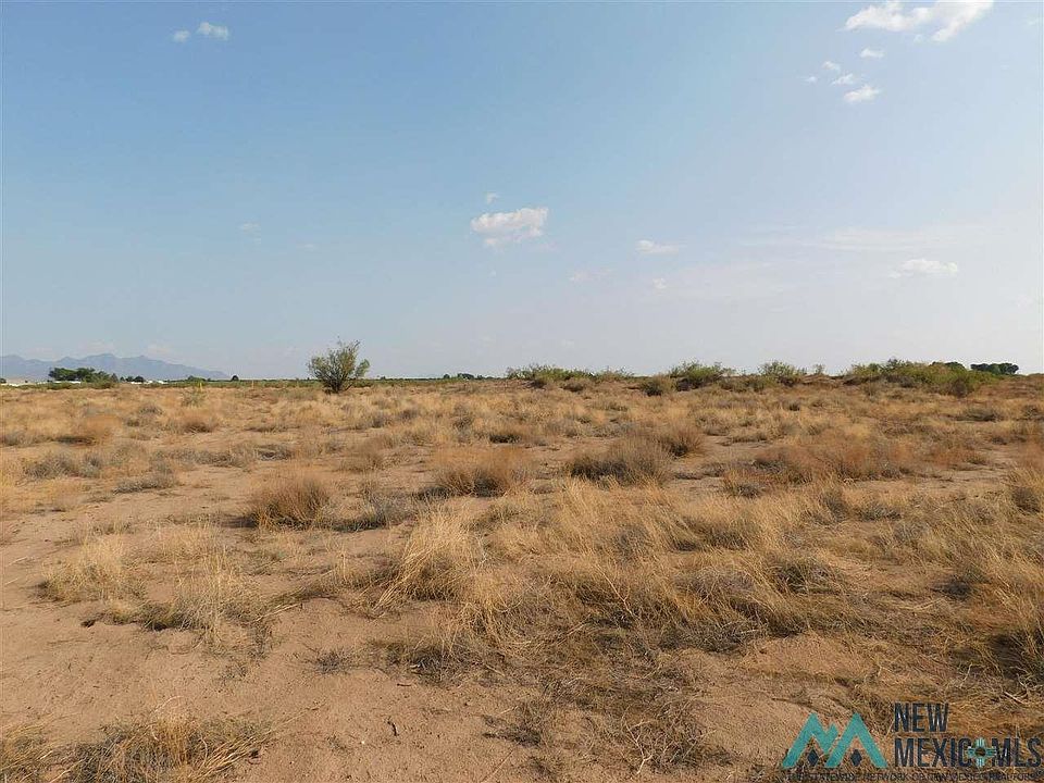 1st image of Earl Scott Trl SW