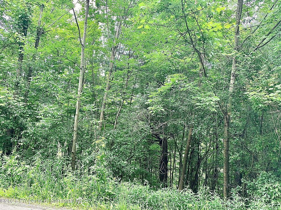 2nd image of State Route 858