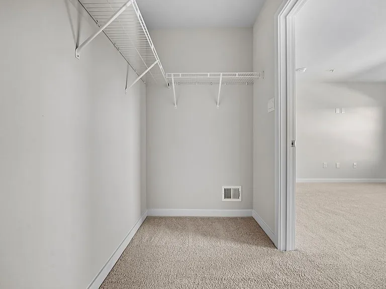 258 Soft Rush Ln — Photo 17