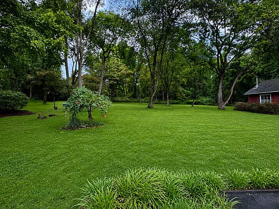Very large rear yard with wooded area to explore