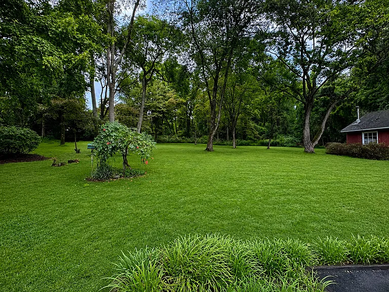 Very large rear yard with wooded area to explore