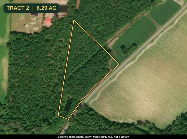 TBD N Nichols Hwy. #Tract 2, Nichols, SC 29581