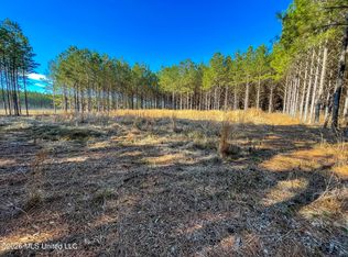 609 Barker Rd, Morton, MS 39117