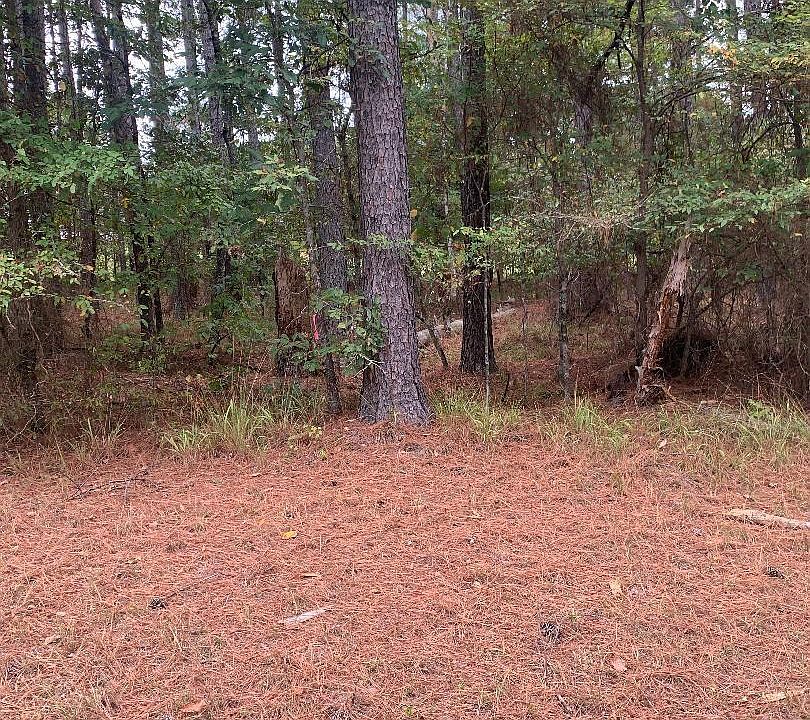 2nd image of 10 Poema Ln