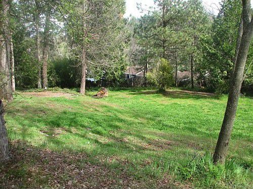 1st image of 125 Pine Wood Way