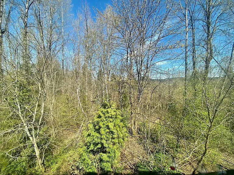21345 11th Dr SE — Photo 9