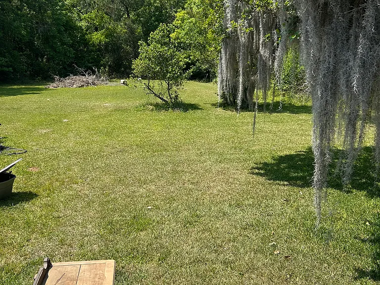 Back yard
