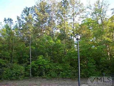 1st image of 232 Sparkleberry Blvd
