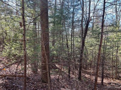 0 Willow Run Ln #12, Zirconia, NC, 28790