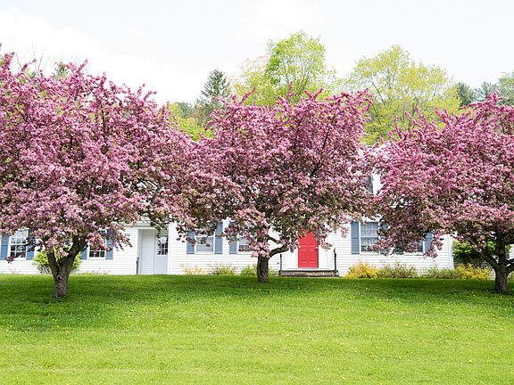 3rd image of 11 Fernleigh Dr
