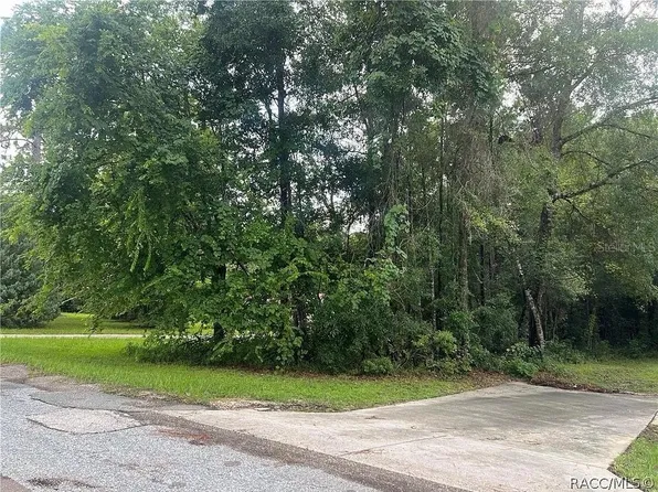 178 S School Ave, Lecanto, FL 34461