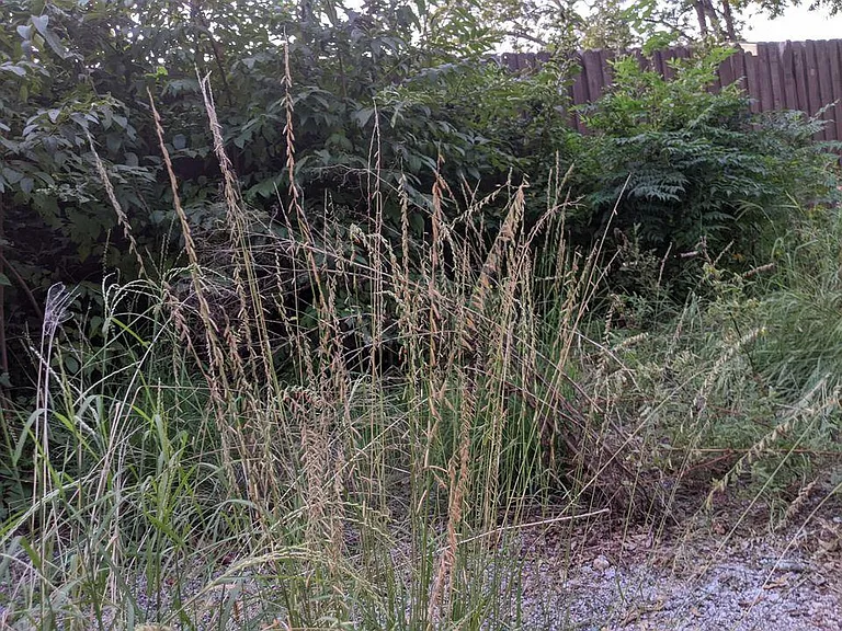 410 Ann Ave — Photo 21