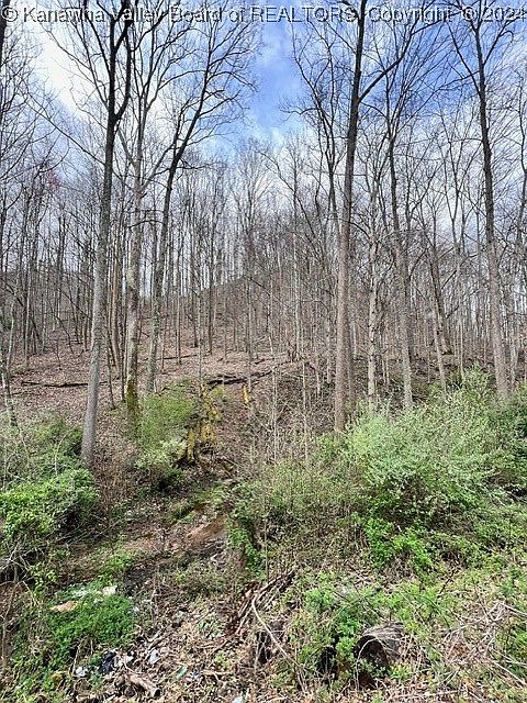 2nd image of 0 Camp Creek Rd