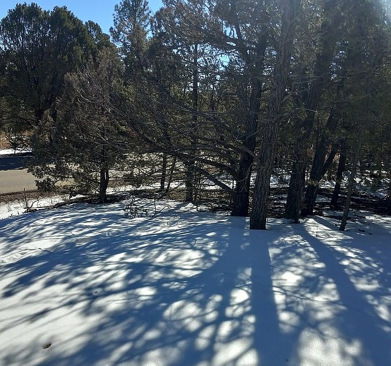 1st image of 66 Ramblewood Blvd