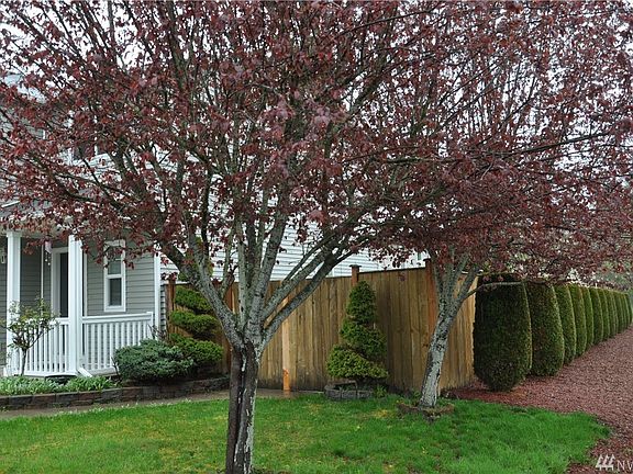 4th image of 8527 21st Ave E