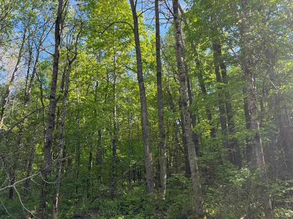Dream Lake Rd #7, Long Lake, WI 54542