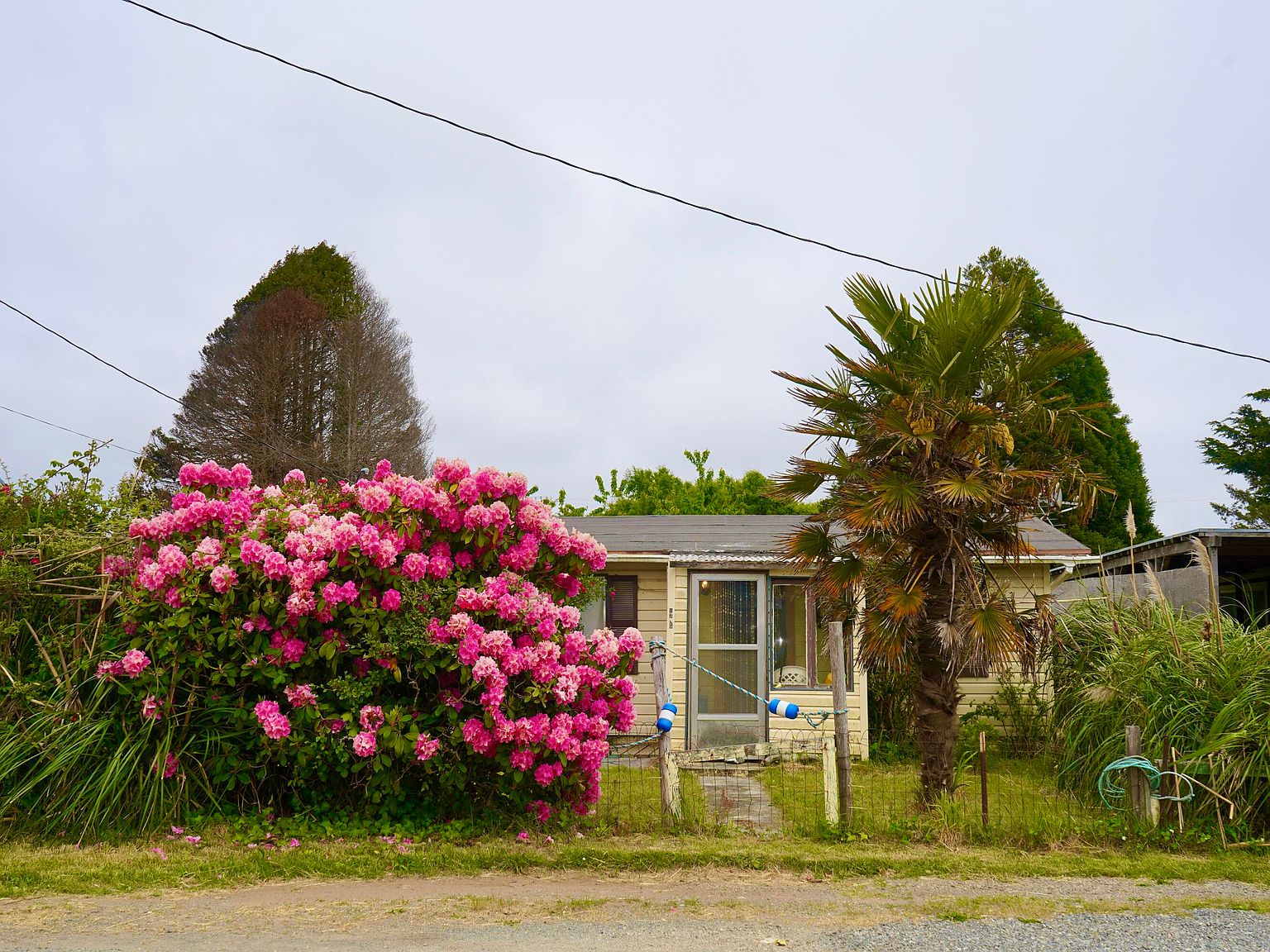 1385 California St, Crescent City, CA 95531 Zillow