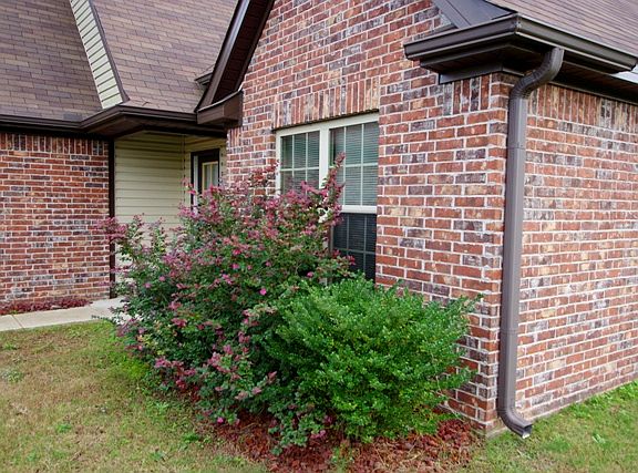 3rd image of 3977 Shae Pierce Dr