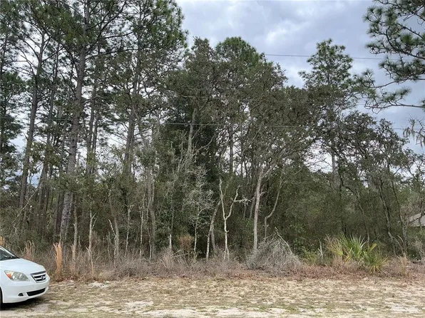 SW 79th Ter Lot 6, Ocala, FL 34473