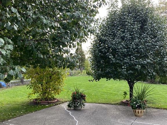 back yard