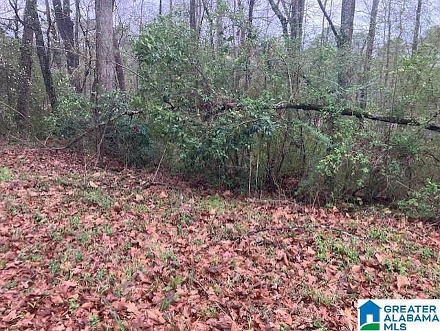 2nd image of 918 Pinehaven Dr #9