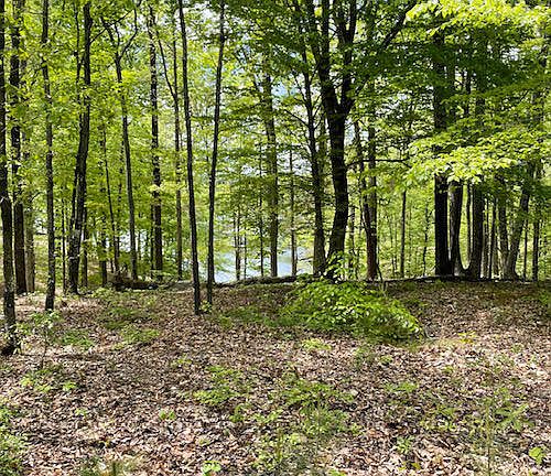3rd image of LOT 42 Lakeshore West Phase #3
