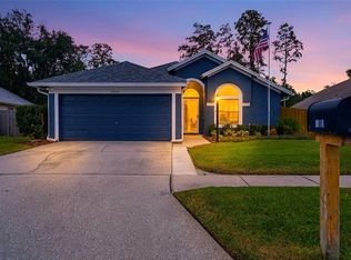 28907 Bay Tree Pl, Wesley Chapel, FL 33545