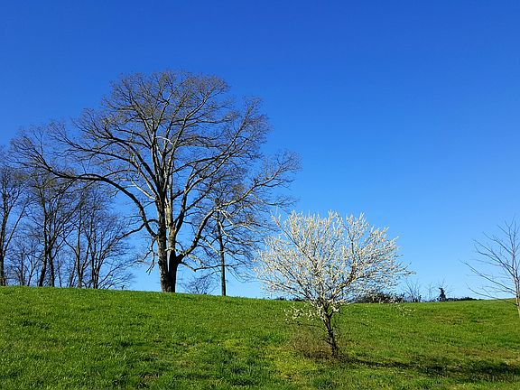 View from downhill looking s