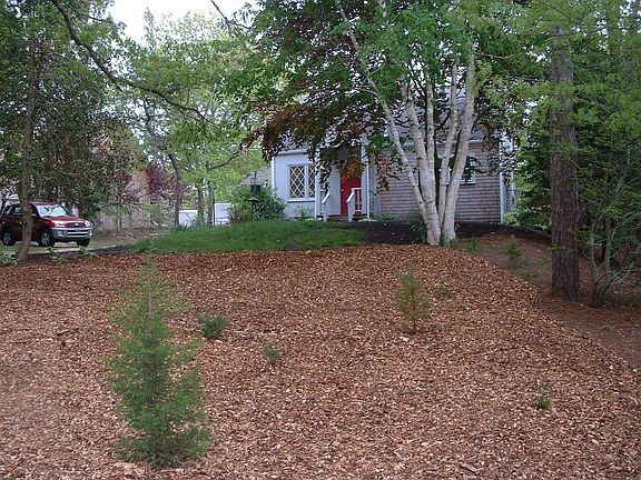 Front Yard & House