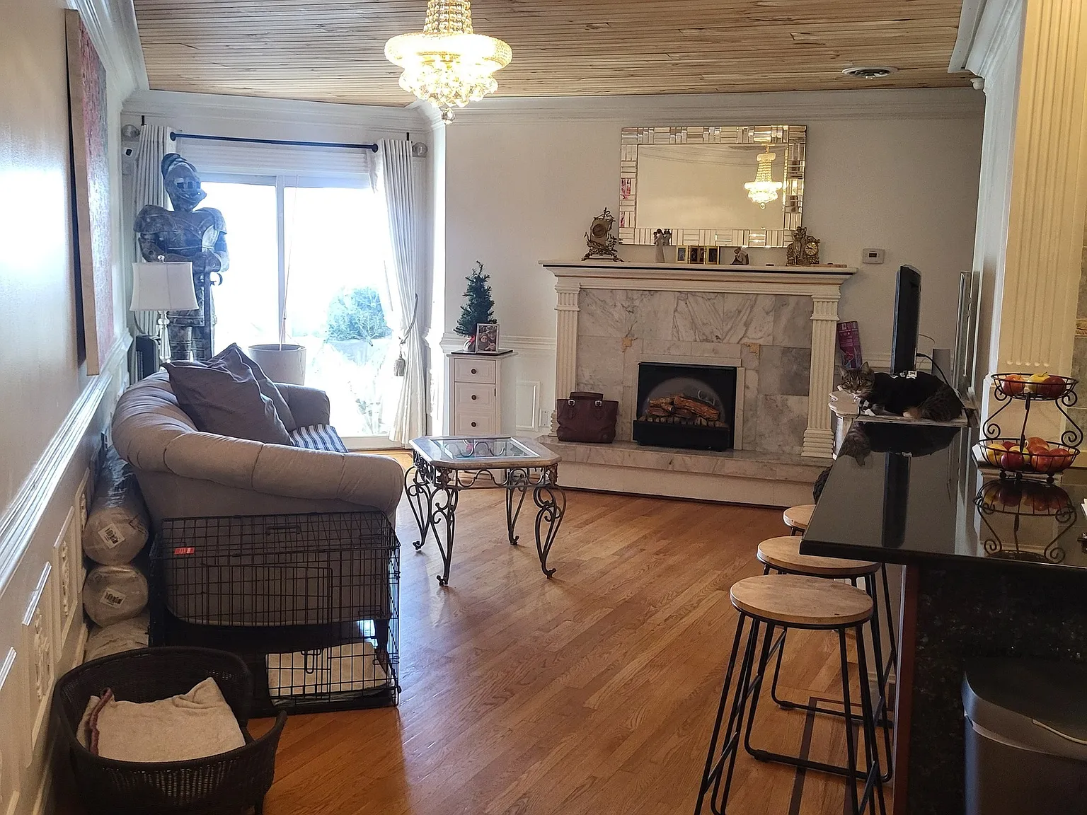 1 bed, 559 sqft, $1,600 — Photo 2