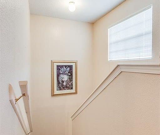 5th image of 12542 Tierra Padre Ln