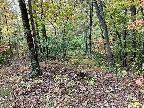 3rd image of 0 Crystal Springs Dr