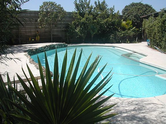 Lovely Pool and Spa in Lush Backyard
