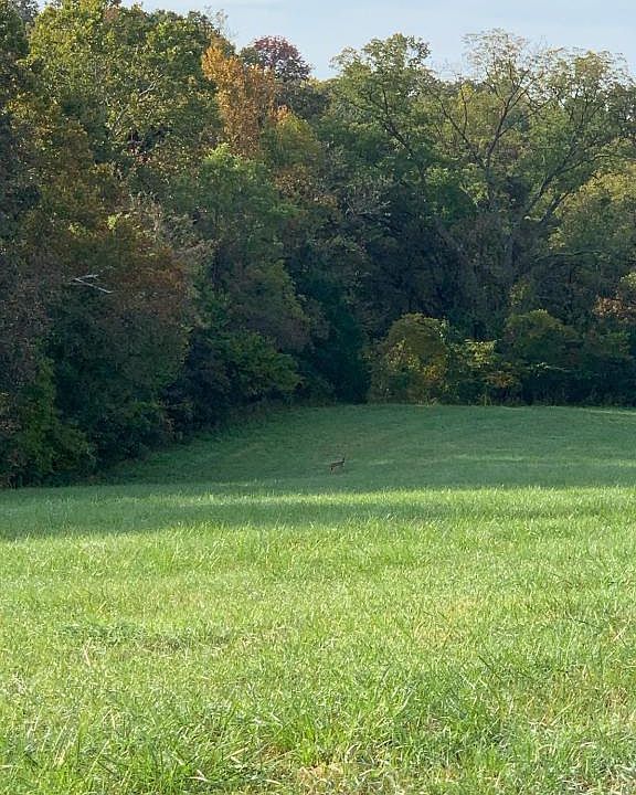 1st image of 25747 Highway 179 #1B