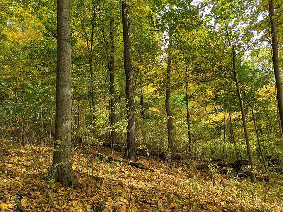 4th image of Brushy Fork Rd Lot Wp001