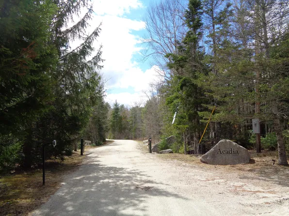 Lot20-20 Bailey Mountain Road, Franklin, ME 04634