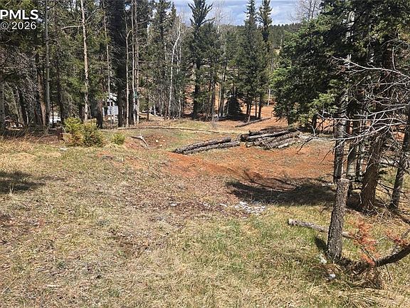 3rd image of 151 Mount Elbert Rd