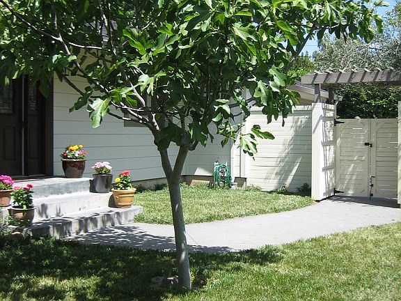 4th image of 16 McAllister Ave