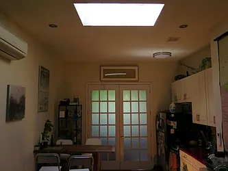 Rented by P Management