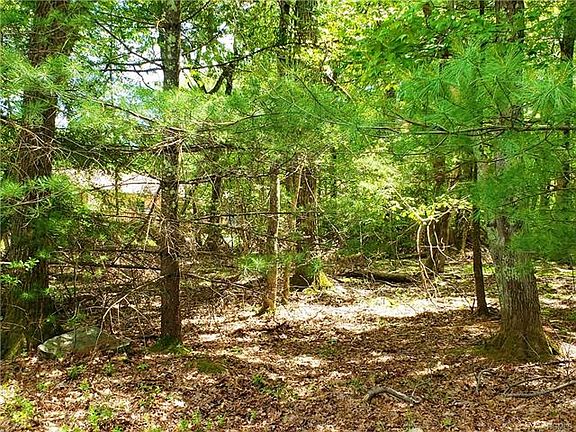 4th image of Norfolk Ct