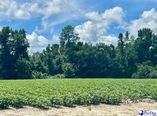 2909 Bell Rd, Mullins, SC 29574