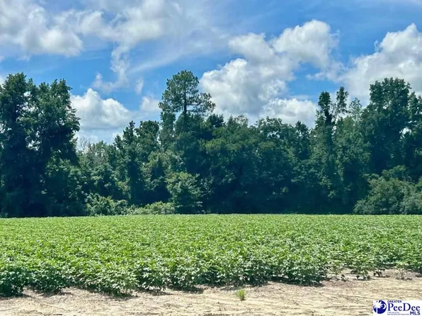 2909 Bell Rd, Mullins, SC 29574