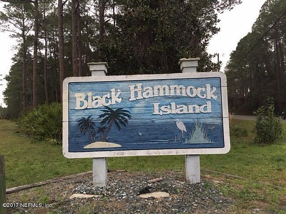 Welcome to Black Hammock Island