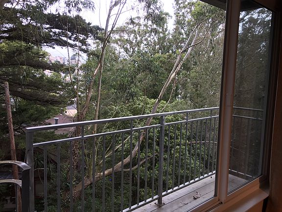 Woodsy View