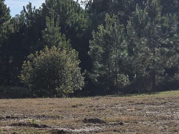 5th image of 958 Montclair Pl SW Lot 113