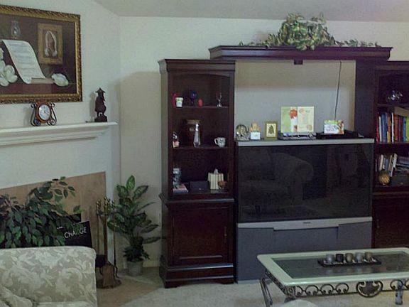 2nd image of 11006 Blue Feather Dr