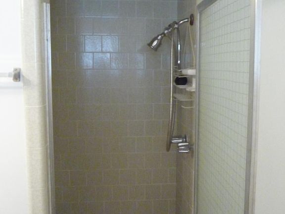 Master bathroom shower